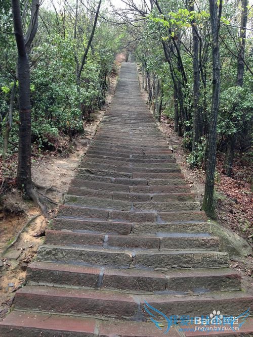 张家界旅游景点介绍及小结: