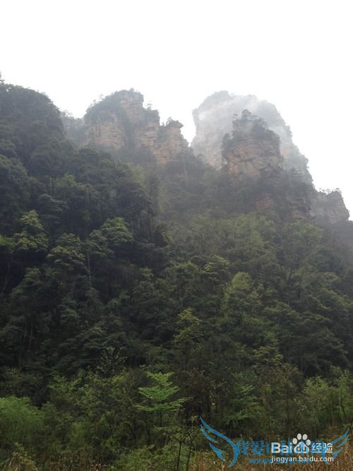 张家界旅游景点介绍及小结: