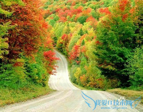 国内最适合旅游的地方