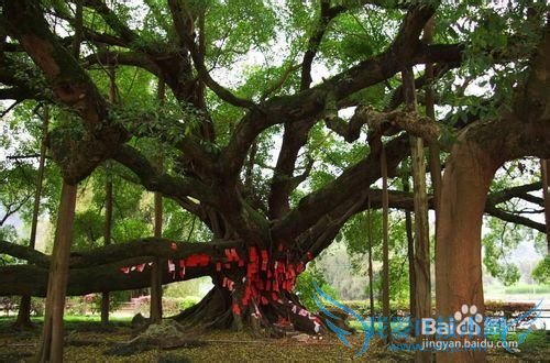 国内最适合旅游的地方