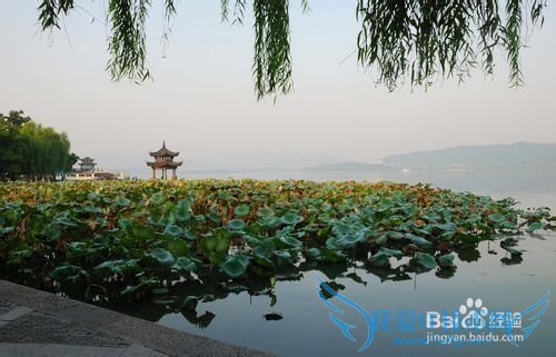 国内最适合旅游的地方