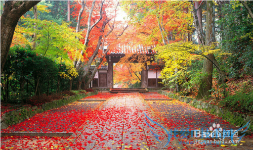 春夏秋冬该如何选择旅游景点?