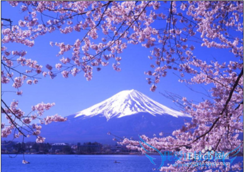 春夏秋冬该如何选择旅游景点?