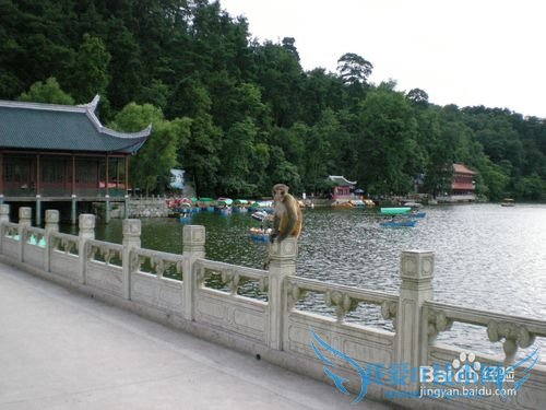 五一去哪儿玩之贵州三日游