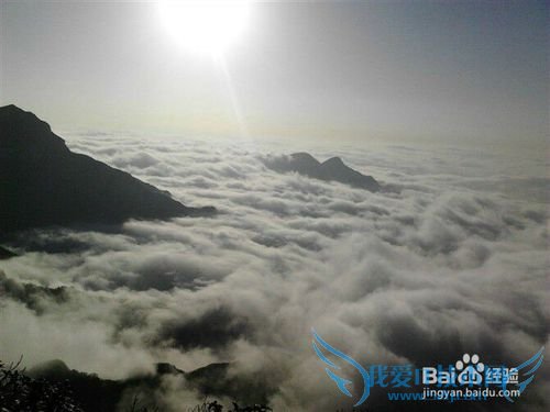 从重庆主城如何前往南川金佛山游玩