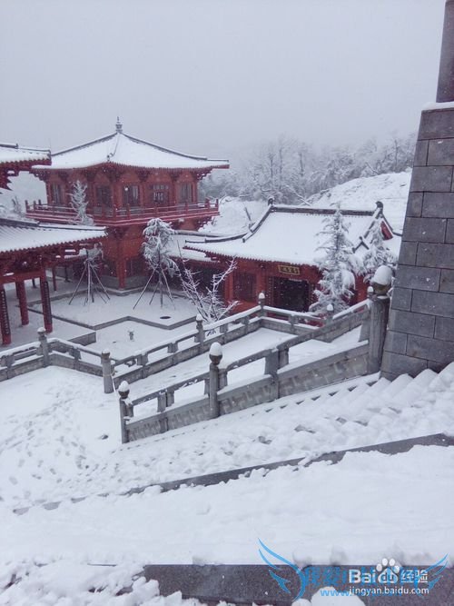 从重庆主城如何前往南川金佛山游玩