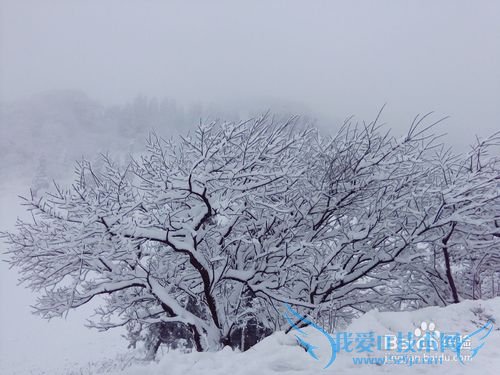 从重庆主城如何前往南川金佛山游玩