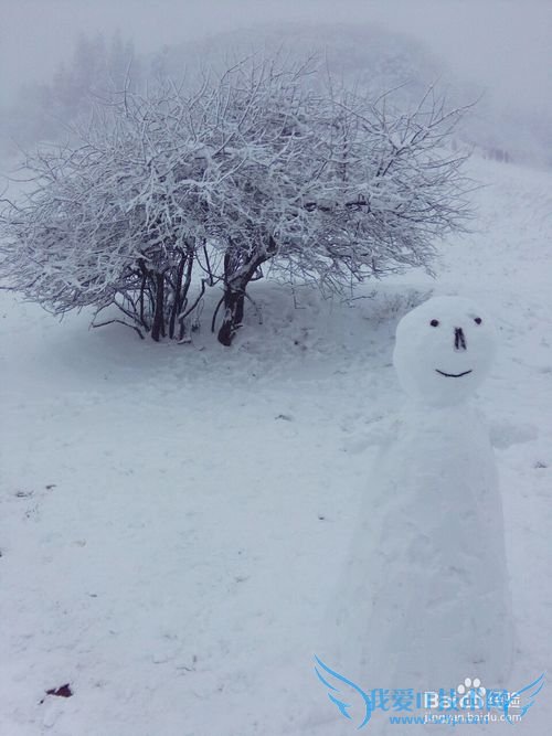 从重庆主城如何前往南川金佛山游玩