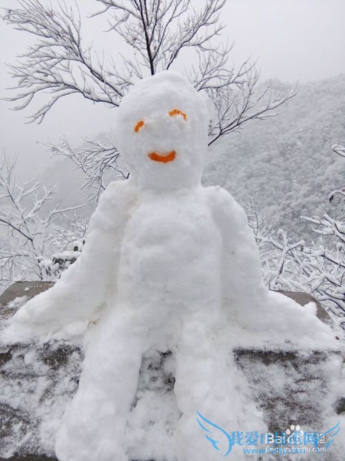 从重庆主城如何前往南川金佛山游玩