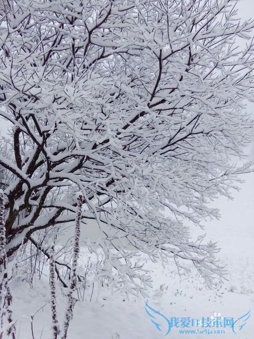 从重庆主城如何前往南川金佛山游玩