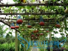 浙江旅游景点介绍