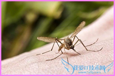 春季外出旅游应注意以下几点