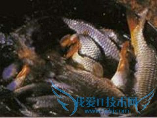 山西美食指南-旅游攻略