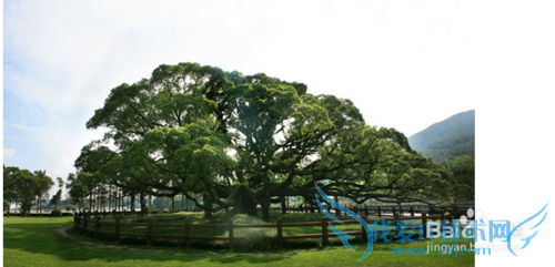 福州自由旅游攻略