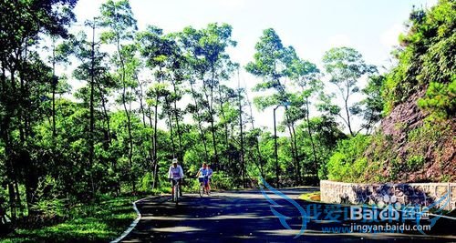 惠州有哪些好玩的地方