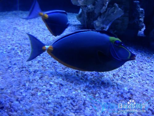 北海旅游去哪好