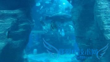 北海旅游去哪好