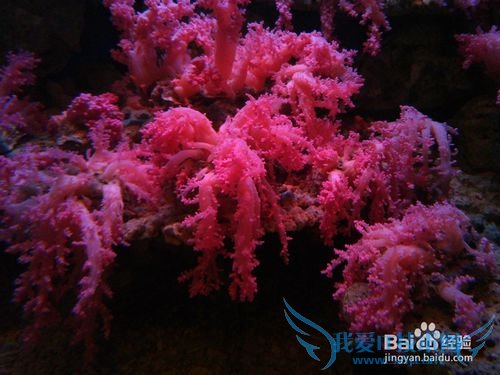 北海旅游去哪好