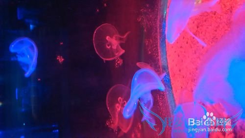 北海旅游去哪好