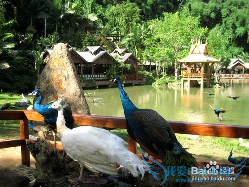 十一最适合情侣去的旅游地