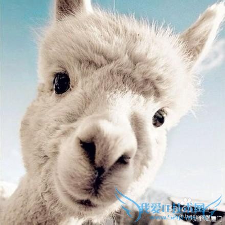 È¥´óÁ¬ÂÃÓι¥ÂÔ