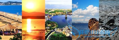 È¥´óÁ¬ÂÃÓι¥ÂÔ