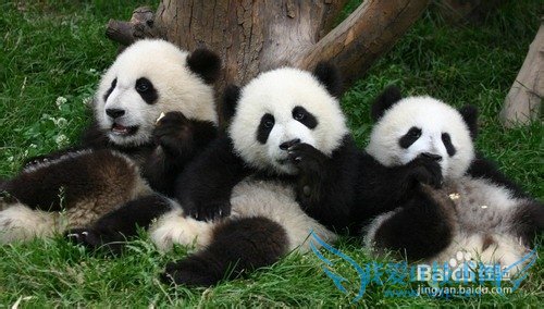 È¥´óÁ¬ÂÃÓι¥ÂÔ