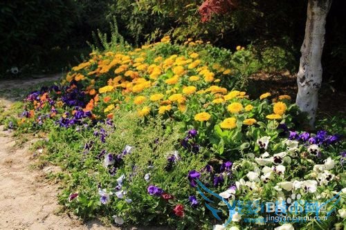 西塘超详细旅游攻略