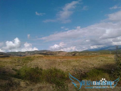 云南旅游攻略——丽江篇