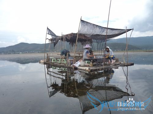 云南旅游攻略——丽江篇