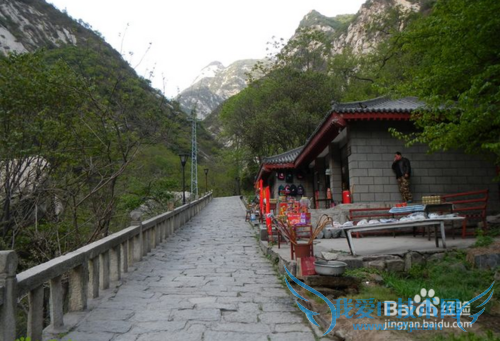 游华山景区交通路线票价及开放时间