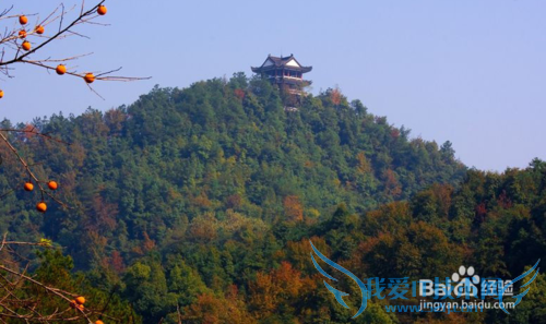 上饶旅游景点攻略