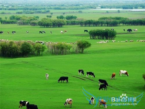 旅游出行需要注意什么