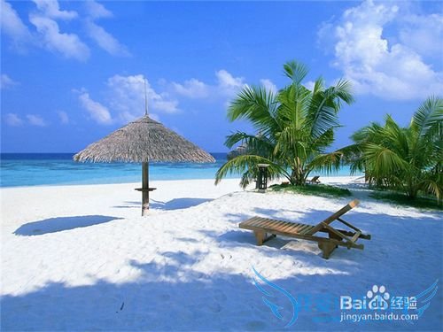 旅游出行需要注意什么