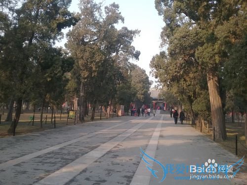 曲阜孔庙旅游攻略