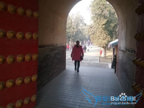 曲阜孔庙旅游攻略