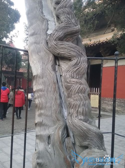 曲阜孔庙旅游攻略