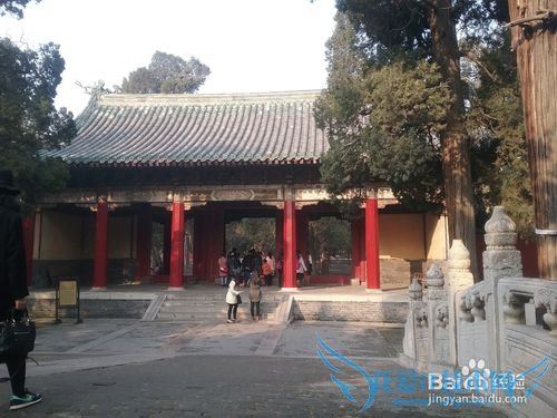 曲阜孔庙旅游攻略