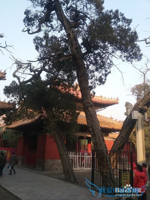 曲阜孔庙旅游攻略