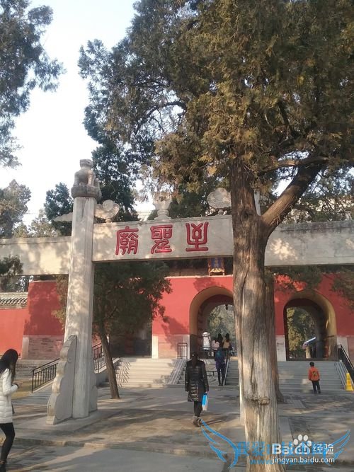 曲阜孔庙旅游攻略