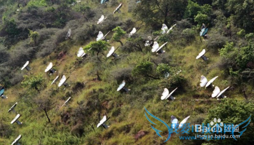 昆明旅游攻略——世界蝴蝶生态园