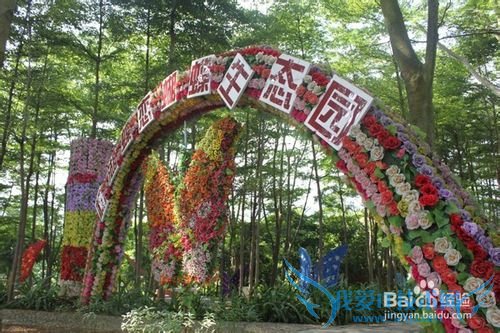 昆明旅游攻略——世界蝴蝶生态园