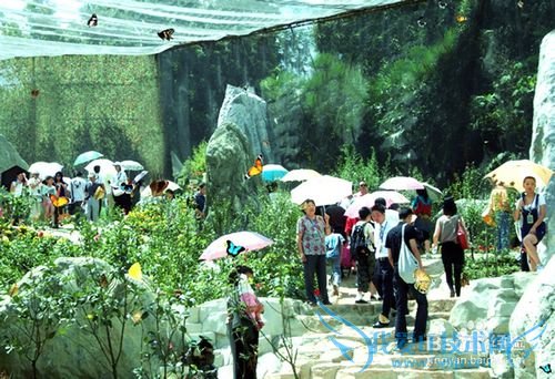 昆明旅游攻略——世界蝴蝶生态园