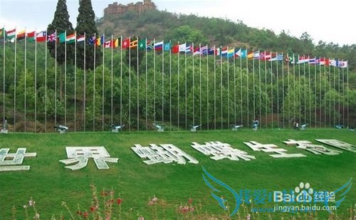 昆明旅游攻略——世界蝴蝶生态园