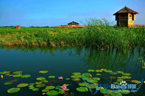 宁波杭州湾新区旅游攻略