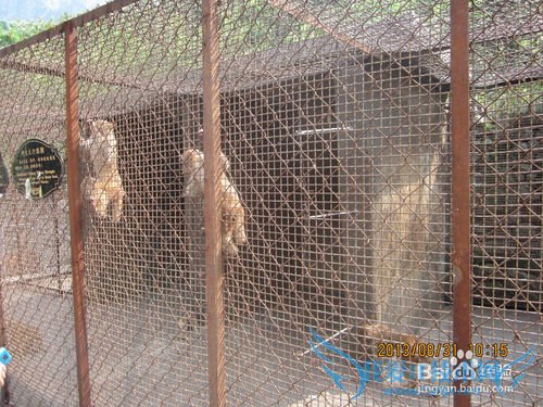 暑假和孩子旅游的好去处