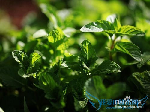 到云南旅游应该做哪些准备