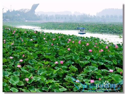 2015五一河北旅游去哪玩?