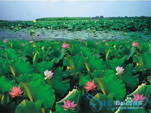 2015五一河北旅游去哪玩?