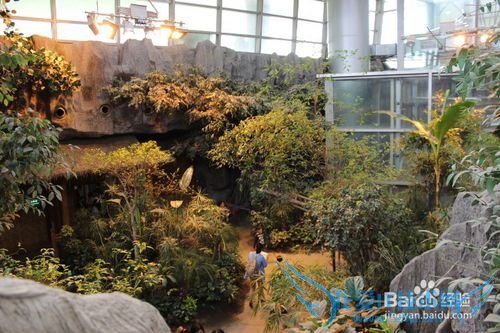 假期旅游之带儿童游览上海科技馆